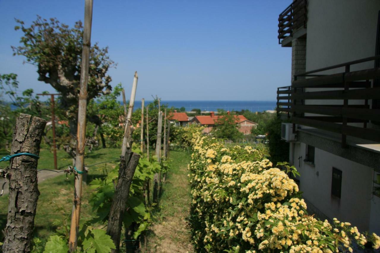 Apartma Tul Izola Buitenkant foto
