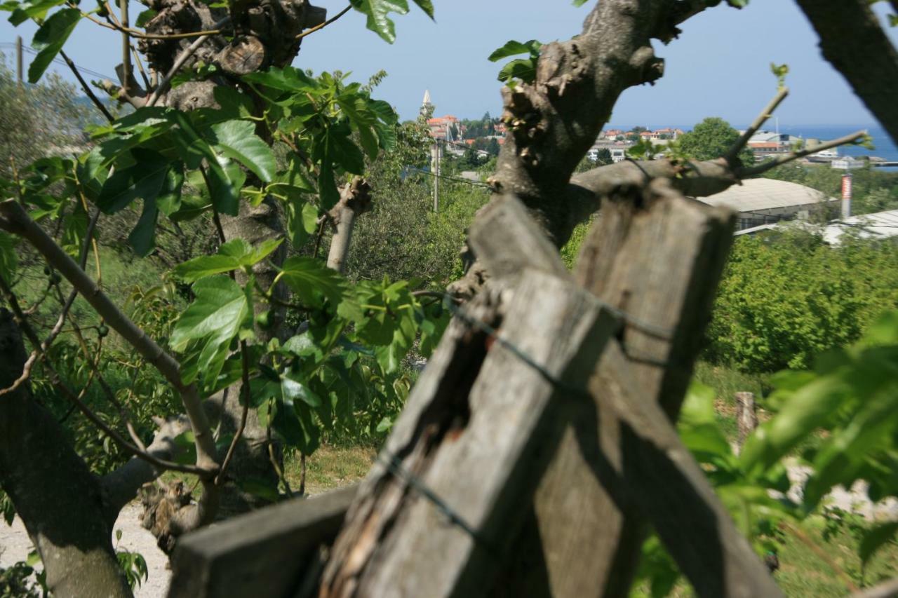 Apartma Tul Izola Buitenkant foto